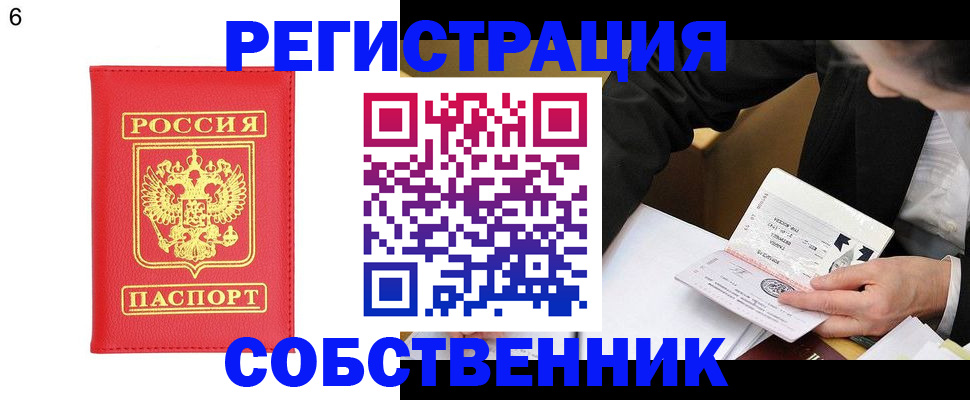 временная регистрация поиск в Новозыбкове