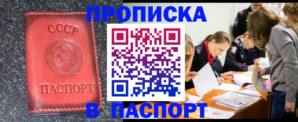 прописка для школы в Новозыбкове
